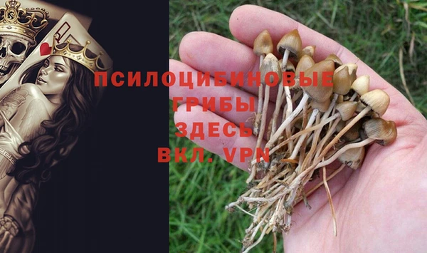 прущий лед Армянск